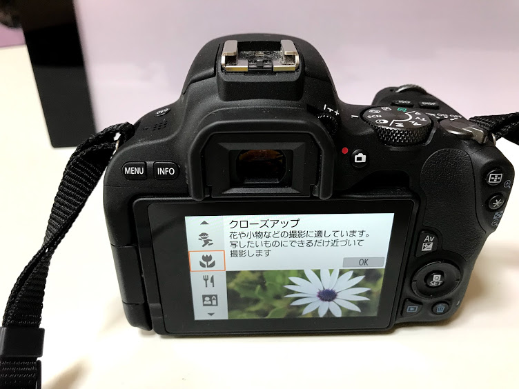 とりあえず本格的な一眼レフ！】をお考えの方に Canon Eos 20D キヤノン